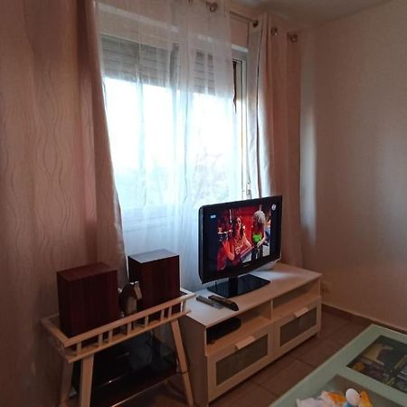 Parking Prive,T1 Bis, 10Mn Lyon Centre Daire Villeurbanne Dış mekan fotoğraf